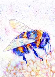 Colourful bee on flower art print