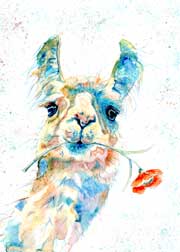 Llama art print