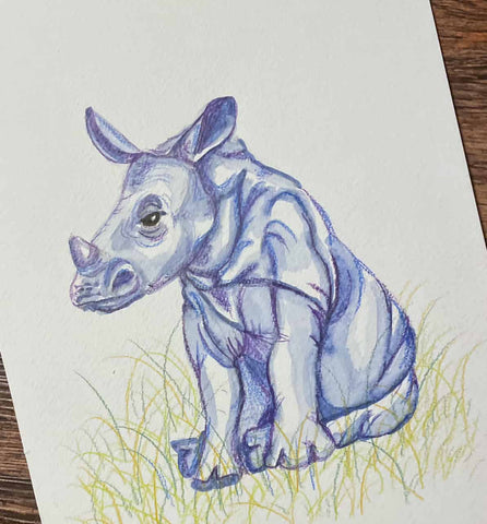 Rhino Mini Original