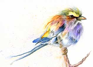 Colourful bird watercolour print