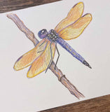 Dragonfly Mini Original