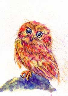 Caffeinated Owl Print