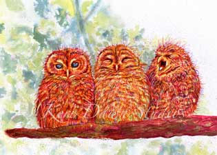 Owl Trio Print