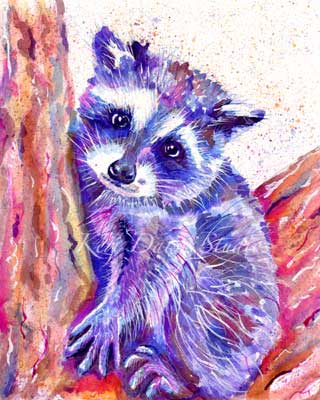 Raccoon art print