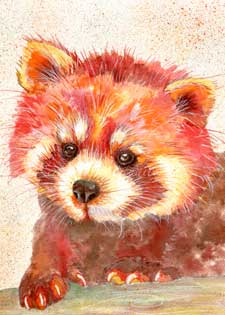 Red Panda Print